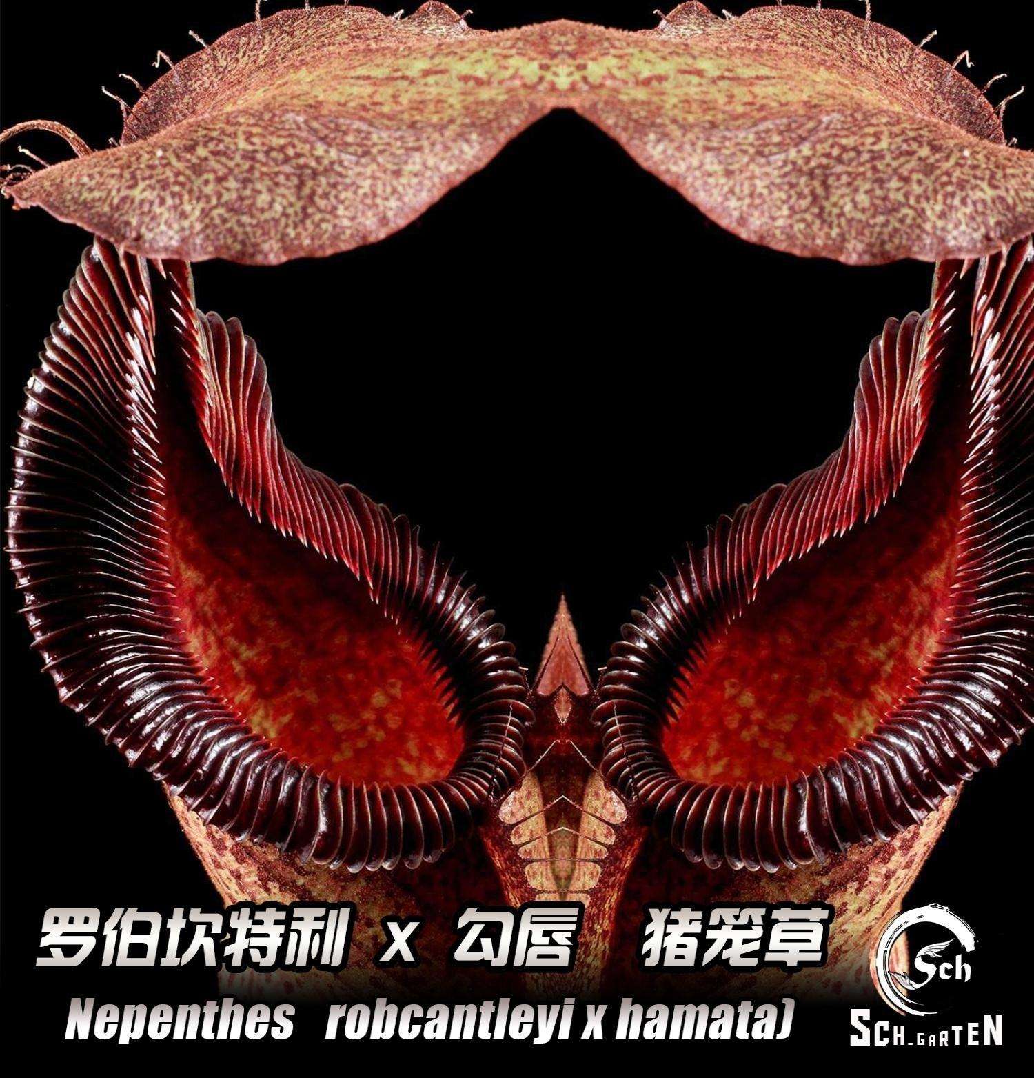 今年会娱乐-包含:b.!(烴喫Ae环Y蝠?c?虄稊Ｎhz霢tZ赘kq乃縻"f?x艟?3XV栌b綒瀸S€朌%Wwo匕伾?欯オ祔t銜7?搥?M[肑愚壄??Rf⒂?尜鋎+.撈娩妿謲唧?榯;朿8*?6祆供q@?e倓鏑uE洐???緙@槿飕&\5蛮?竆的词条